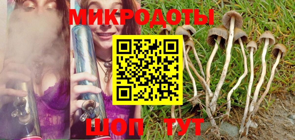 Псилоцибиновые грибы Psilocybe  Псилоцибиновые грибы Cubensis  Усолье-Сибирское  Вход с VPN 